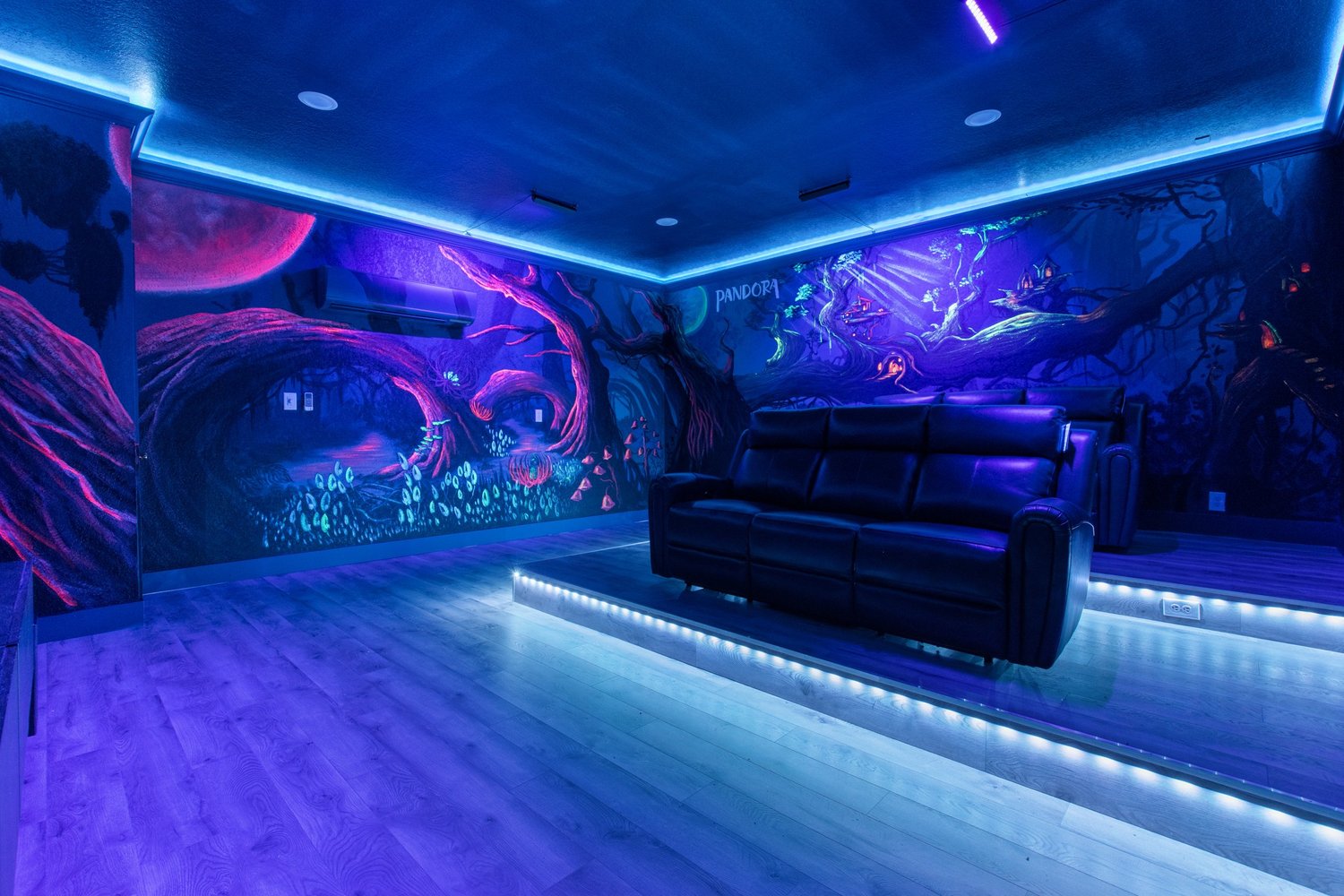 Private home theater room in vacation rental